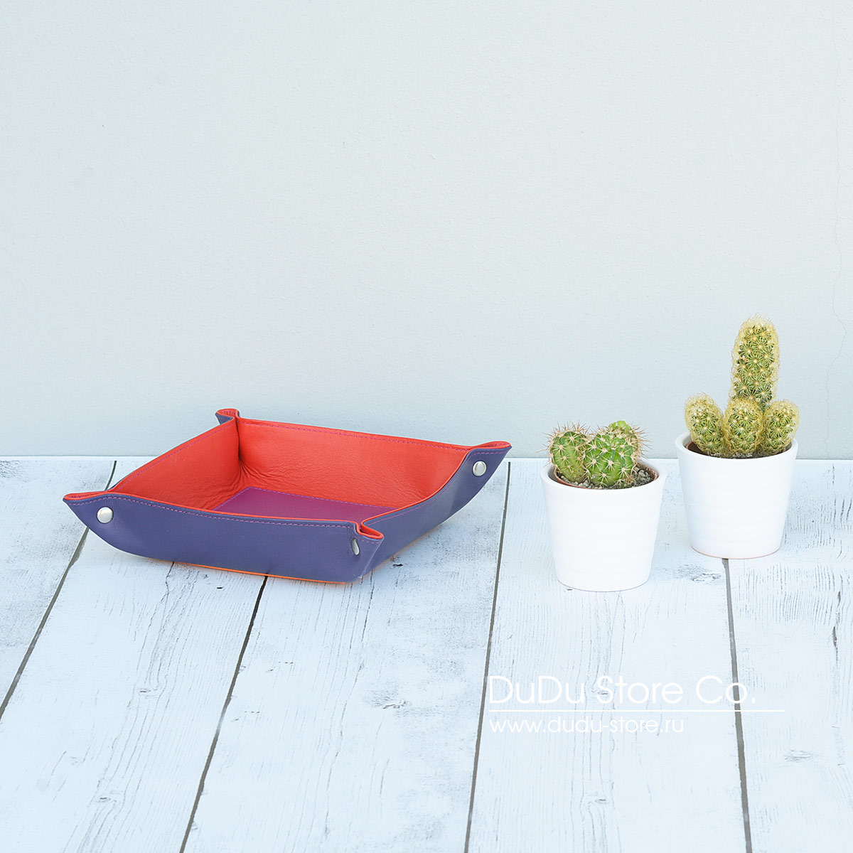 Серия Petrol | fuxia